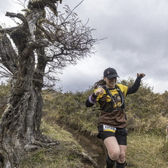 Foto: Alejandro Zoñez