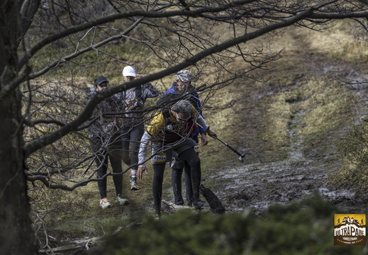 Foto: Alejandro Zoñez