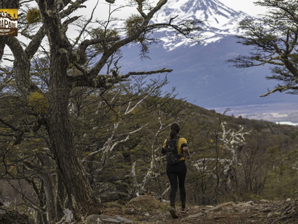 Foto: Alejandro Zoñez