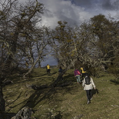 Foto: Alejandro Zoñez