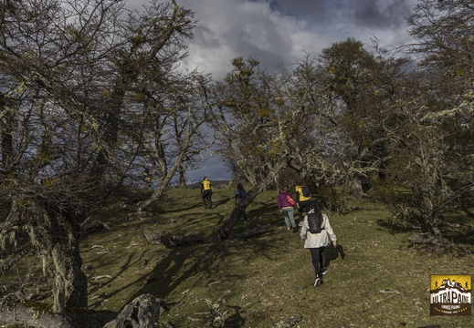 Foto: Alejandro Zoñez