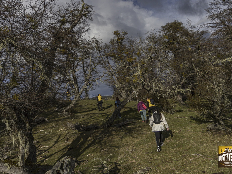 Foto: Alejandro Zoñez