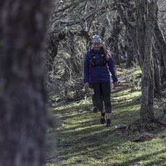 Foto: Alejandro Zoñez