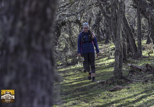 Foto: Alejandro Zoñez