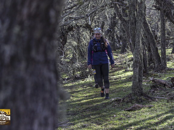 Foto: Alejandro Zoñez