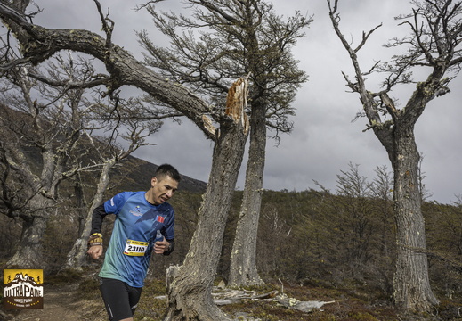 Foto: Alejandro Zoñez