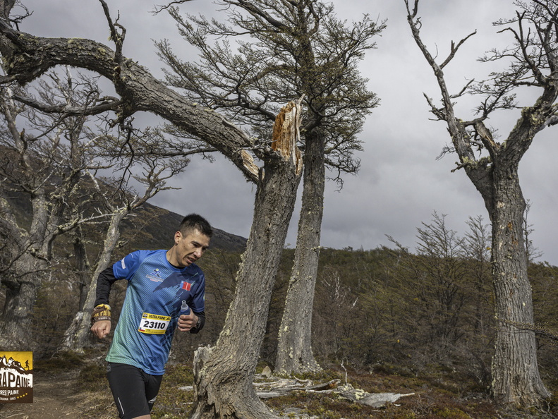 Foto: Alejandro Zoñez