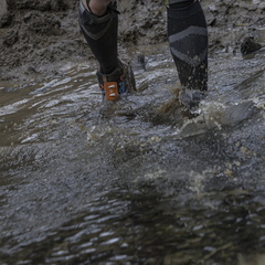 Foto: Alejandro Zoñez