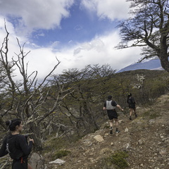 Foto: Alejandro Zoñez