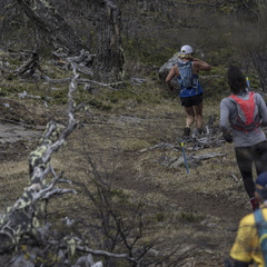 Foto: Alejandro Zoñez