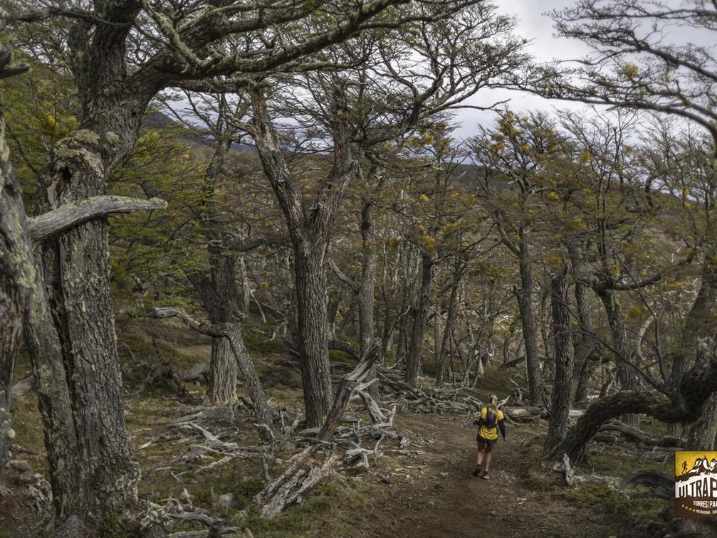 Foto: Alejandro Zoñez