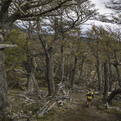 Foto: Alejandro Zoñez