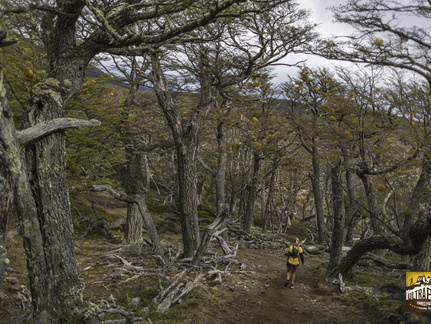 Foto: Alejandro Zoñez