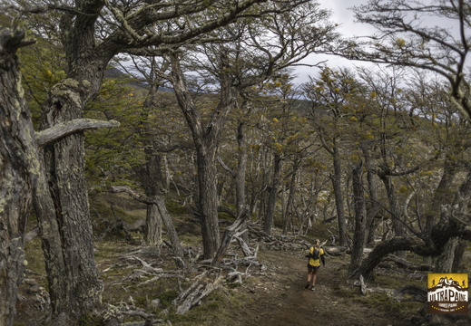 Foto: Alejandro Zoñez