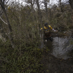 Foto: Alejandro Zoñez