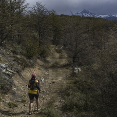 Foto: Alejandro Zoñez