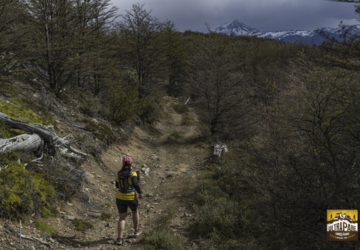 Foto: Alejandro Zoñez