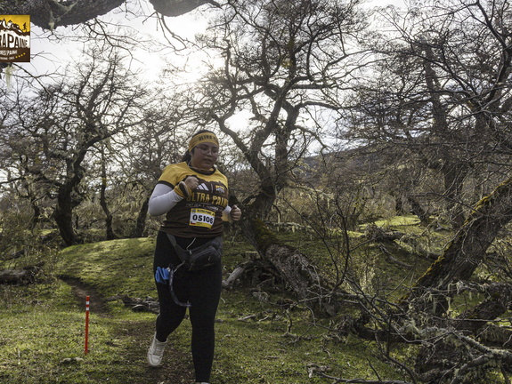 Foto: Alejandro Zoñez