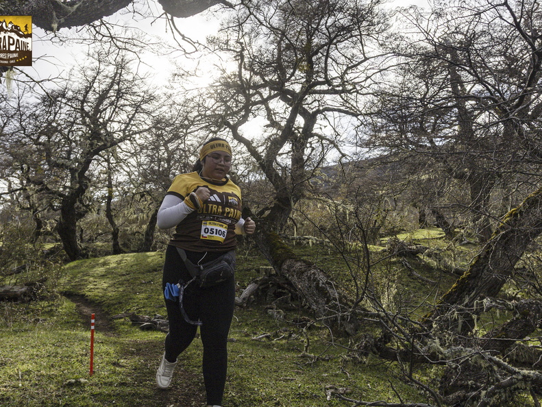 Foto: Alejandro Zoñez