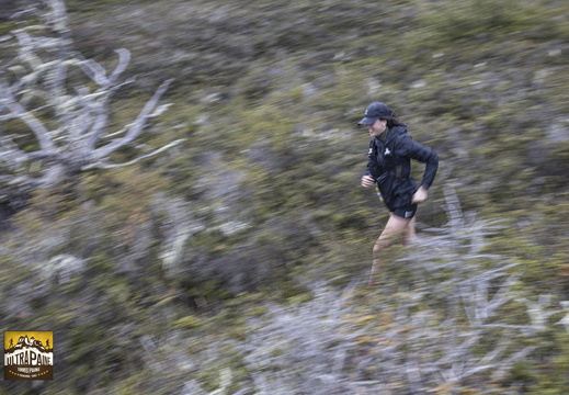 Foto: Alejandro Zoñez