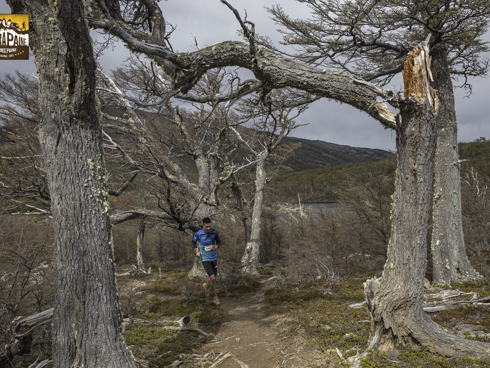 Foto: Alejandro Zoñez