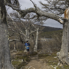 Foto: Alejandro Zoñez