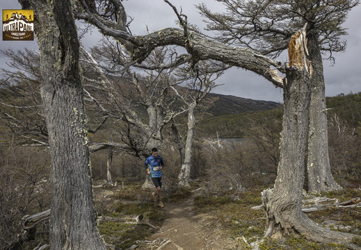 Foto: Alejandro Zoñez