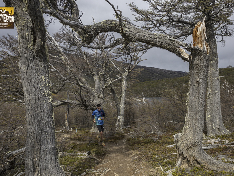 Foto: Alejandro Zoñez