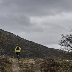 Foto: Alejandro Zoñez