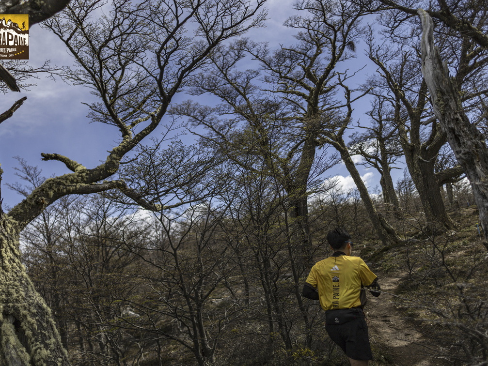 Foto: Alejandro Zoñez