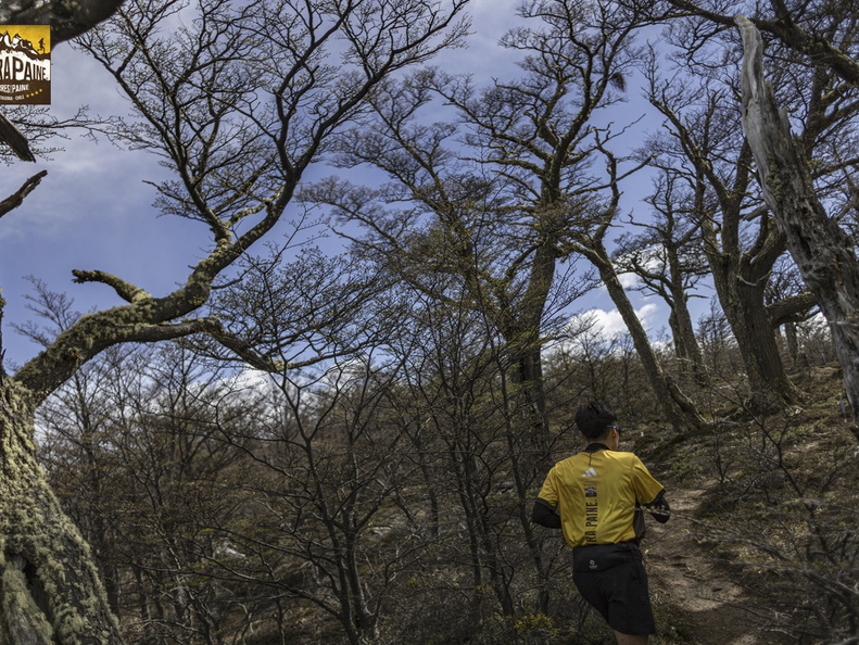 Foto: Alejandro Zoñez