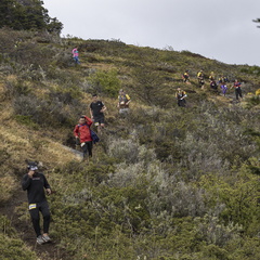 Foto: Alejandro Zoñez