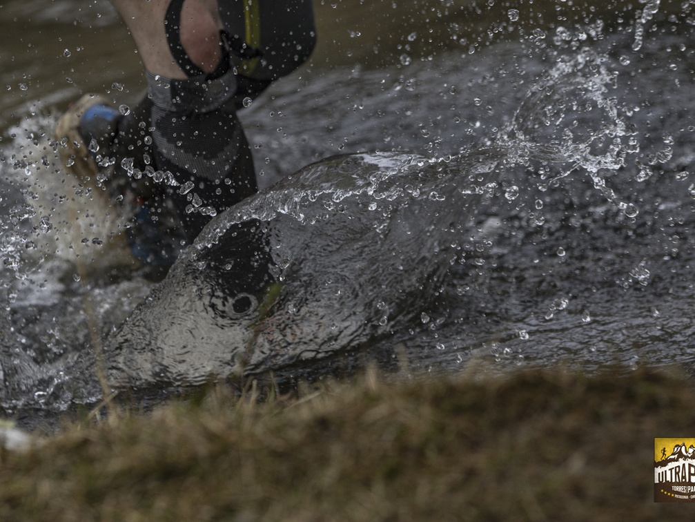 Foto: Alejandro Zoñez