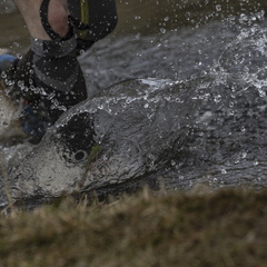 Foto: Alejandro Zoñez