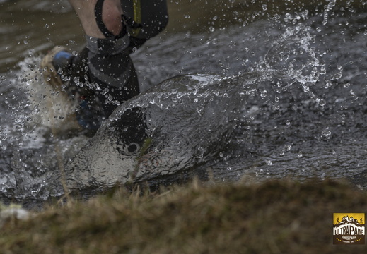 Foto: Alejandro Zoñez