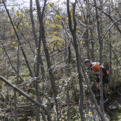 Foto: Alejandro Zoñez