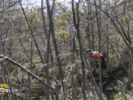 Foto: Alejandro Zoñez