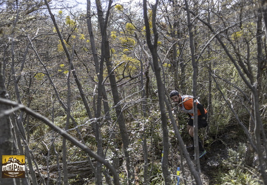 Foto: Alejandro Zoñez