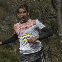 Foto: Alejandro Zoñez