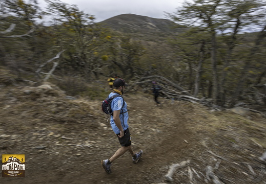 Foto: Alejandro Zoñez