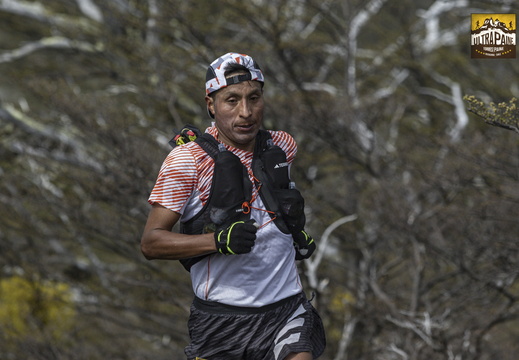 Foto: Alejandro Zoñez