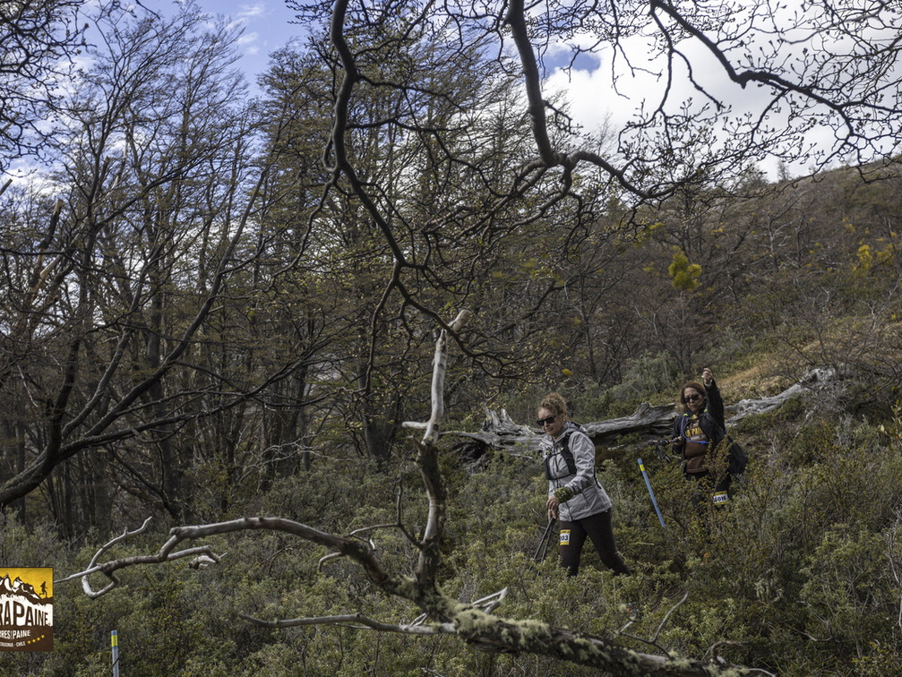 Foto: Alejandro Zoñez