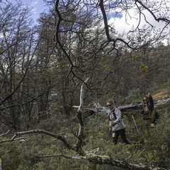 Foto: Alejandro Zoñez