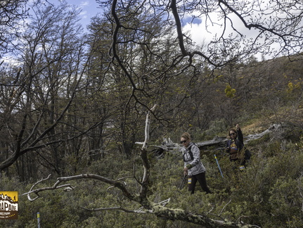 Foto: Alejandro Zoñez