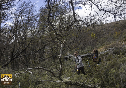 Foto: Alejandro Zoñez