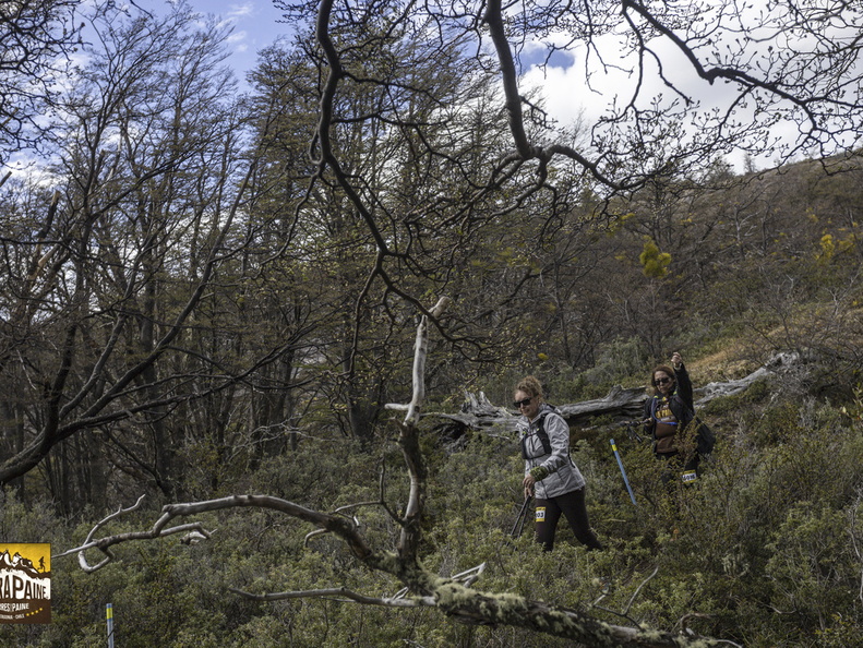 Foto: Alejandro Zoñez