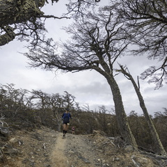 Foto: Alejandro Zoñez