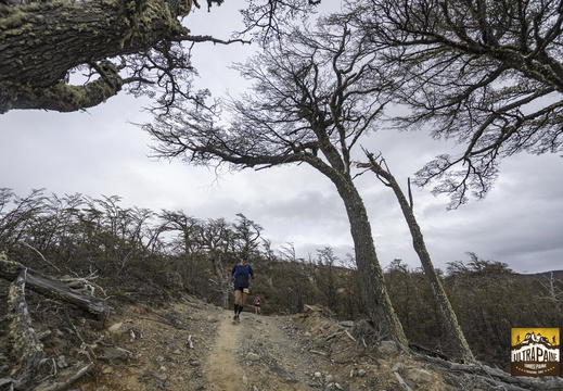 Foto: Alejandro Zoñez