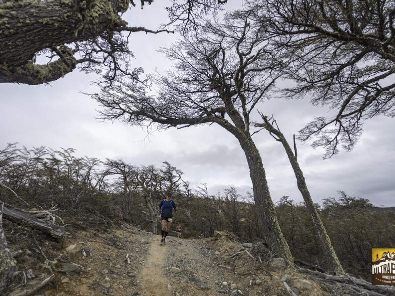 Foto: Alejandro Zoñez