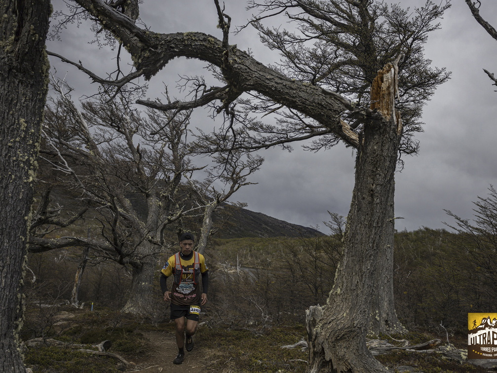 Foto: Alejandro Zoñez